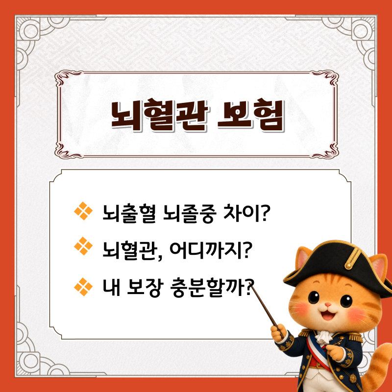 뇌혈관질환, 뇌졸중, 뇌출혈 진단비 보험 뭐가 다를까?