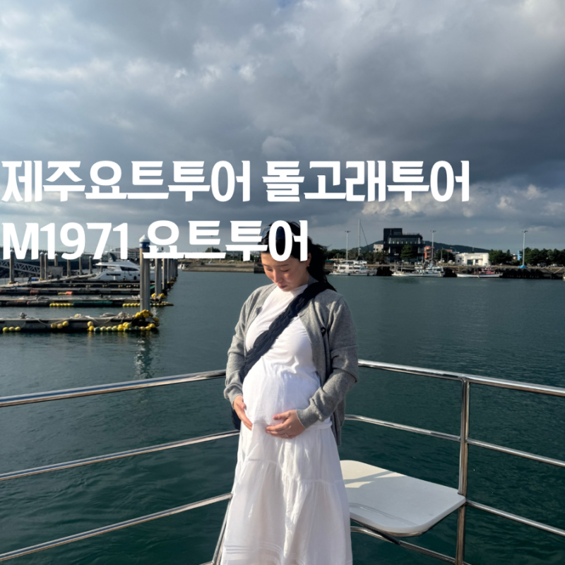 제주요트투어 M1971요트투어 제주도 돌고래 투어 액티비티 추천