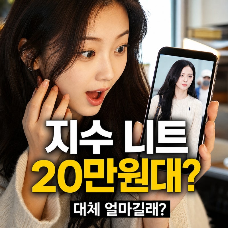 "대체 얼마길래?"...지수 타미 니트 공항패션, 20만원대 가격에 깜짝 놀란 이유