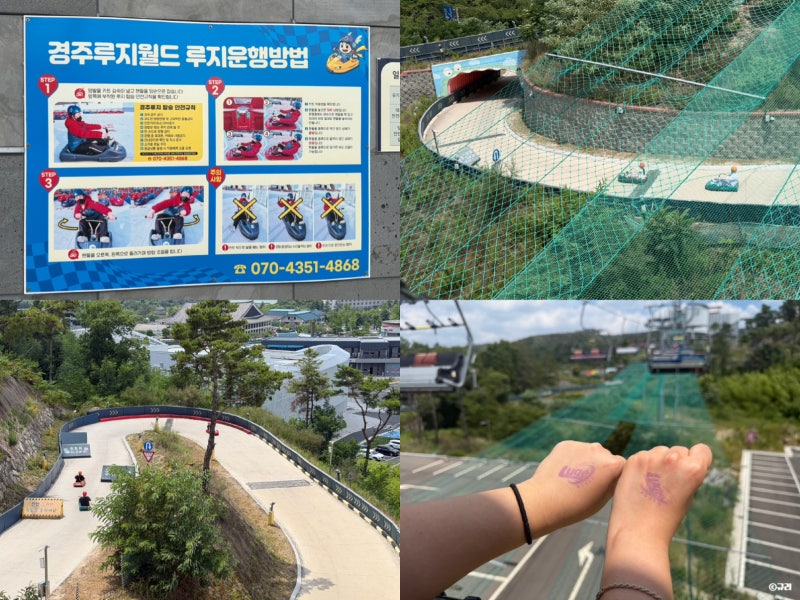 경주 루지월드 가격 할인 아이와 여행 놀거리 갈만한곳