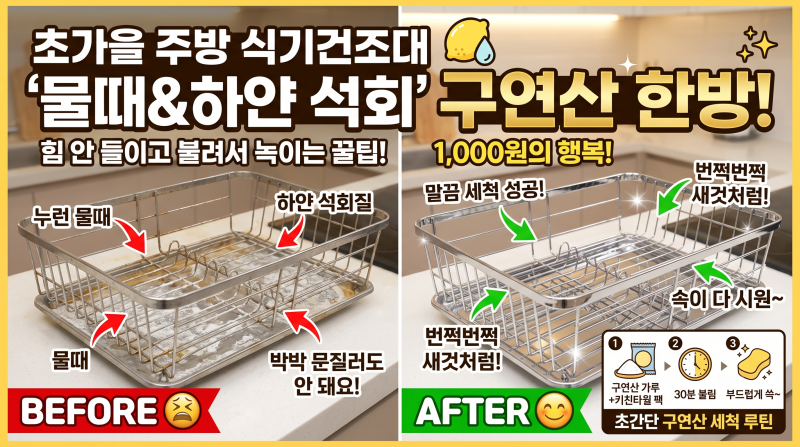 초가을 주방 식기건조대 물때와 하얀 석회 자국 구연산으로 없앤 후기