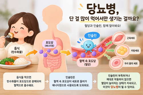당뇨병 원인, 단 걸 많이 먹으면 생길까요? ｜혈당과 인슐린