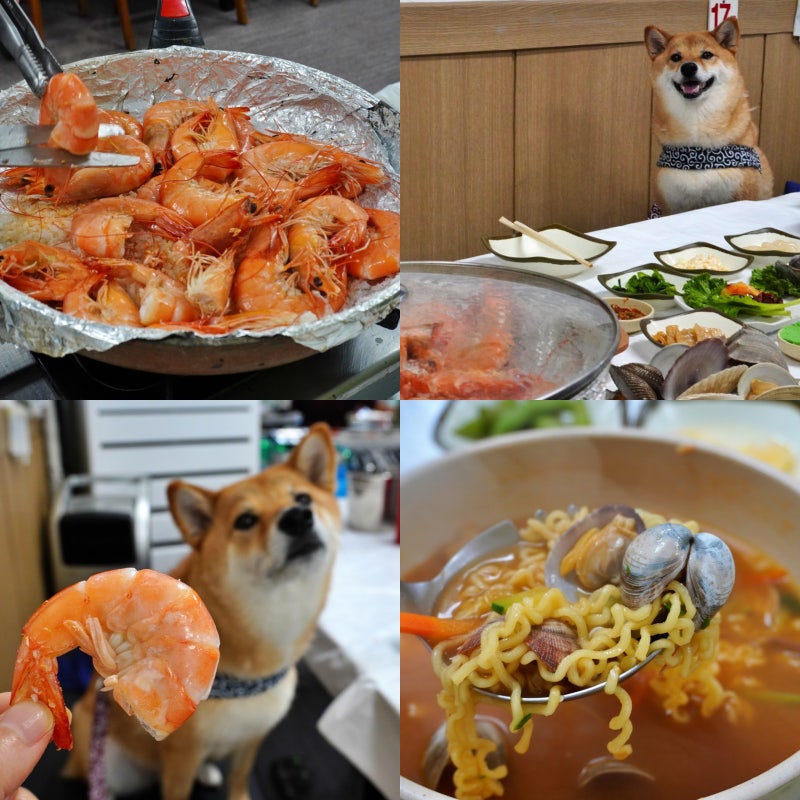 "지금이 제철" 홍성 남당항 대하축제 가격 식당 맛집 애견동반 후기 가볼만한 곳