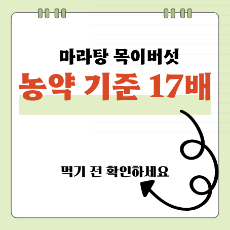 마라탕 좋아하신다면? 목이버섯 확인하세요