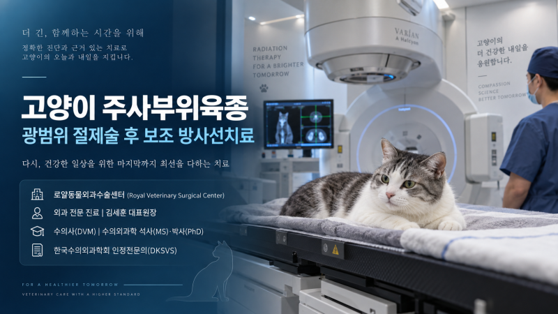[Case Study] 고양이 주사부위육종 절제술 후 보조 방사선치료 4회｜13세 노령묘 종양 치료