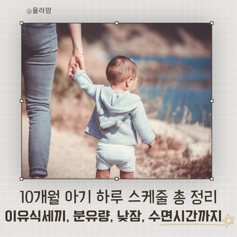 10개월 아기 하루 스케줄 총정리, 이유식 세끼, 분유량, 낮잠 수면시간까지