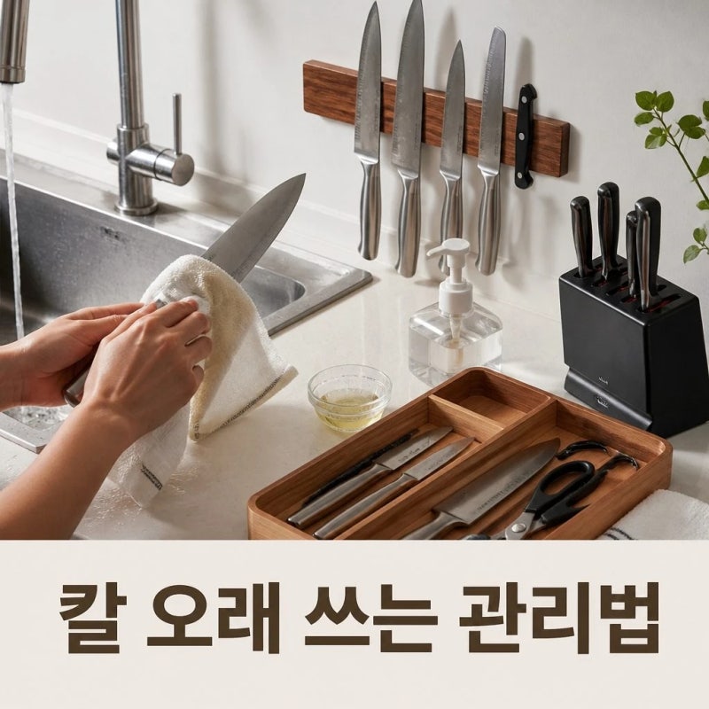 주방 칼 오래 쓰는 세척 보관법