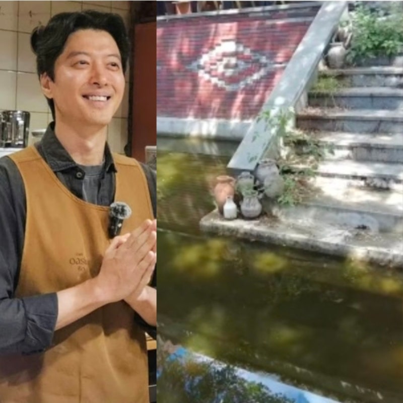 이동건, 제주 카페 연못 방치설 해명 오아시스80 녹조 방치 논란 책임에 소속사가 선 그은 이....
