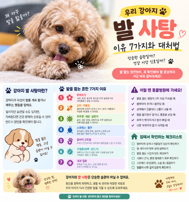 강아지 발 사탕 이유 7가지｜강아지가 발을 계속 핥는다면 꼭 확인하세요