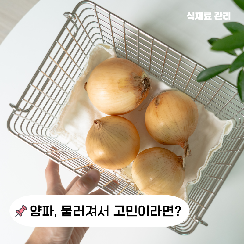 "1개월도 먹어?" 양파 냉장 보관법 물러짐 줄일 수 있던 살림 팁