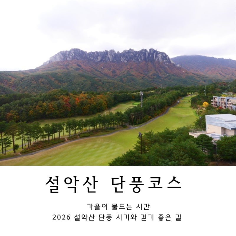 2026 설악산 단풍 시기 예측 및 초보자 추천 등산 코스