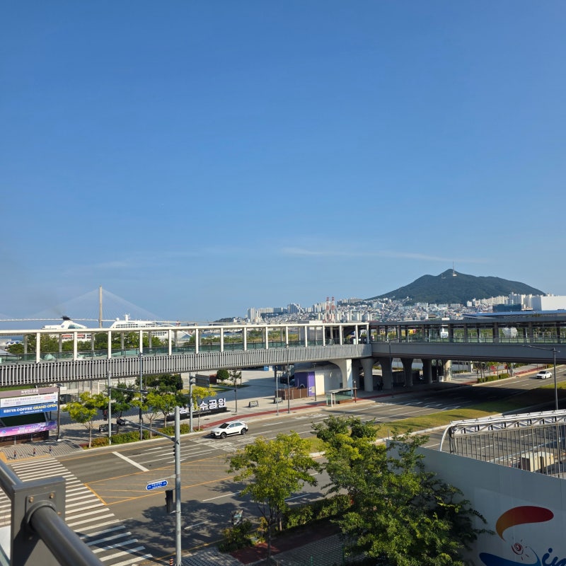 [2泊3日釜山徒歩旅行3日目] 影島P.ARK＆アルテミュージアムから釜山駅ピンスダン、ジョンジッカンクッまで