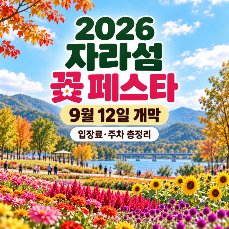 2026 자라섬 꽃 페스타｜9월 12일 개막·입장료·주차·가을꽃 총정리