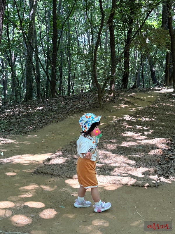 명일공원 가족과 함께하는 숲체험 참여후기.(4살 아이랑, 앨리스유아숲체험원)