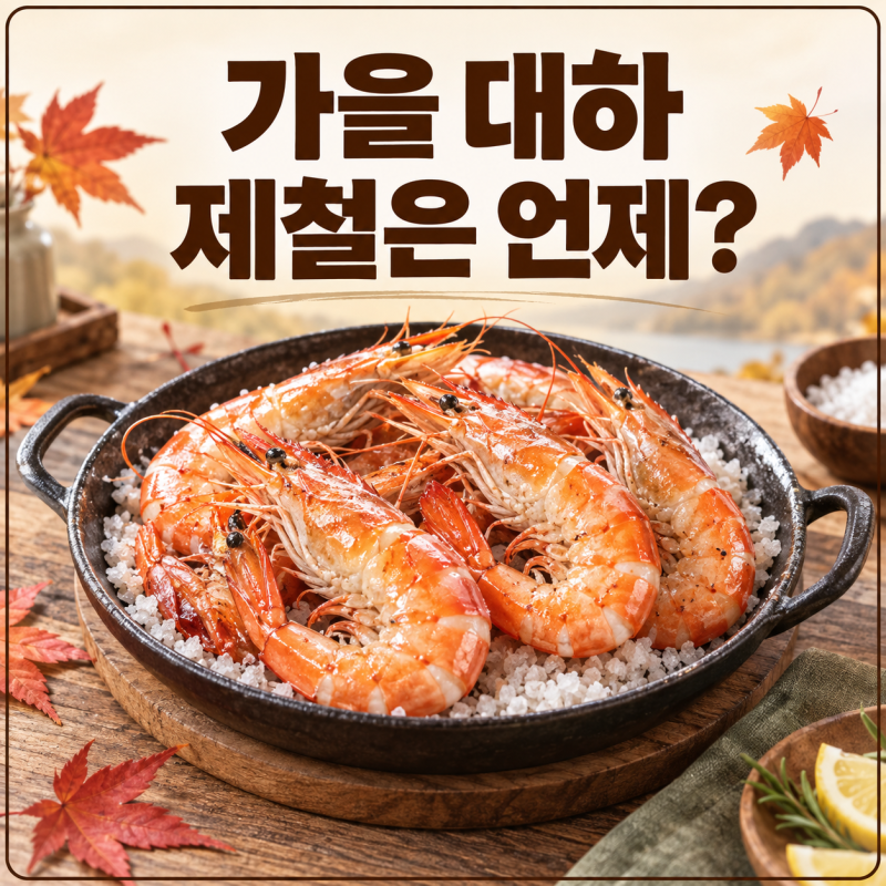 가을 대하 제철은 언제? 흰다리새우와 차이·고르는 법
