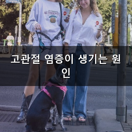 고관절 염증 왜 생기고 어떻게 대처해야 할까