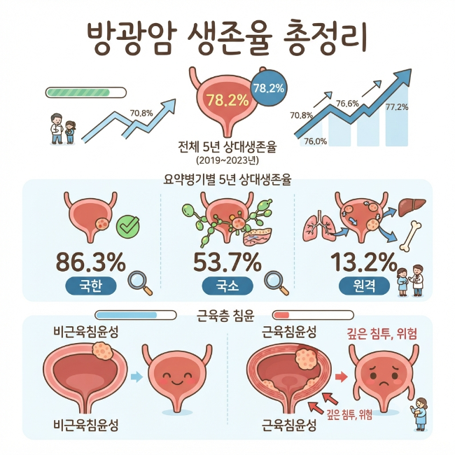 방광암 생존율 총정리｜병기·근육층 침윤·종양 등급·전이 여부에 따른 예후 차이