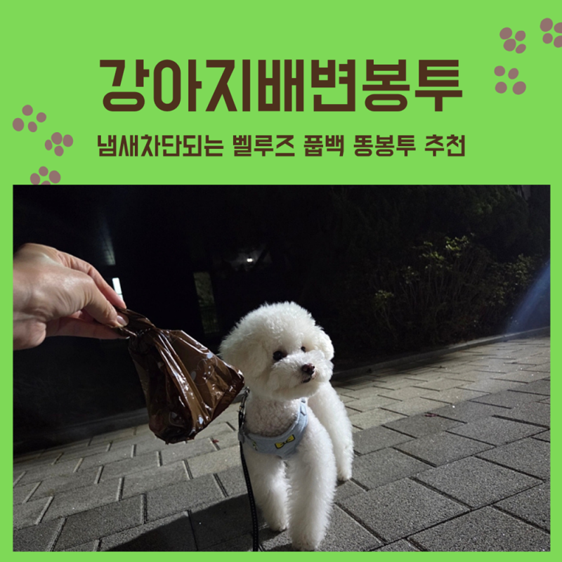 강아지배변봉투 냄새차단되는 벨루즈 풉백 똥봉투 추천