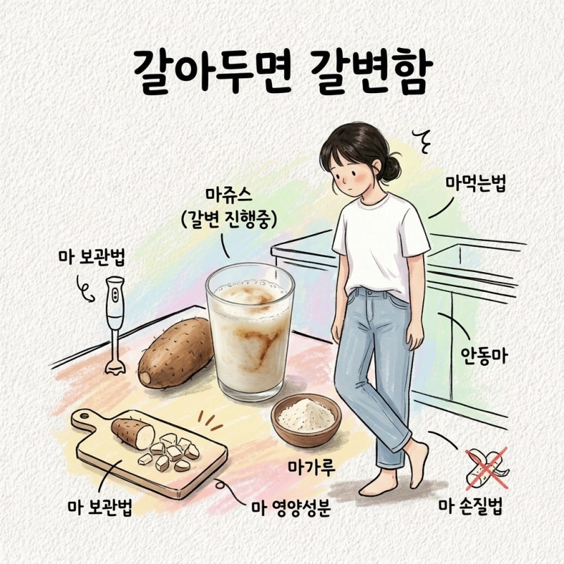 마즙 마쥬스 마 보관법 마가루 마먹는법 안동마 마 손질법 마 영양성분