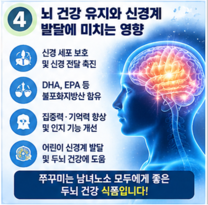 쭈꾸미 효능과 부작용 완벽 분석: 영양학적 가치부터 생화학적 기전 및 최적의 섭취 가이드....