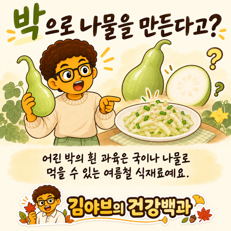박나물 효능과 만드는 법, 박 손질부터 건강하게 먹는 방법까지