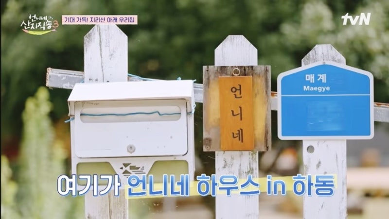 언니네 산지직송3 7회 하동 편｜섬진강 재첩부터 하동 맛집까지