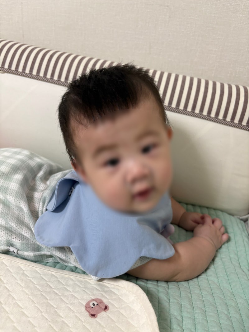아기 애착인형 언제부터 시기 역할 선택할때 팁