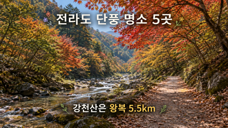 전라도 단풍 명소 5곳｜짧은 산책과 긴 계곡길, 어디로 갈까