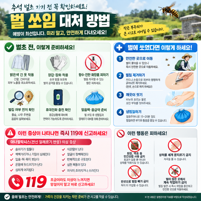 벌초 가기 전 꼭 알아두세요｜벌 쏘임 대처 방법부터 119 신고 기준까지