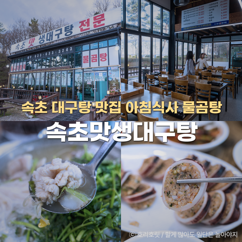 속초 대구탕 맛집 아침식사 속초맛생대구탕 물곰탕 후기