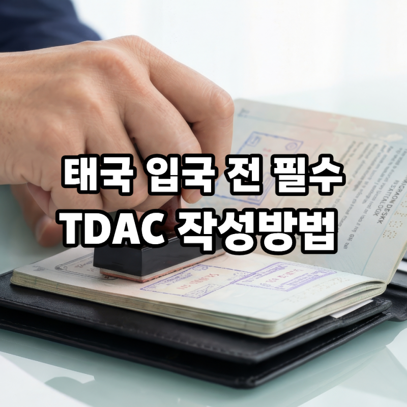 태국 입국 전 필수 TDAC 작성법｜작성 시기·숙소 주소·항공편 입력부터 제출까지 실제 순서