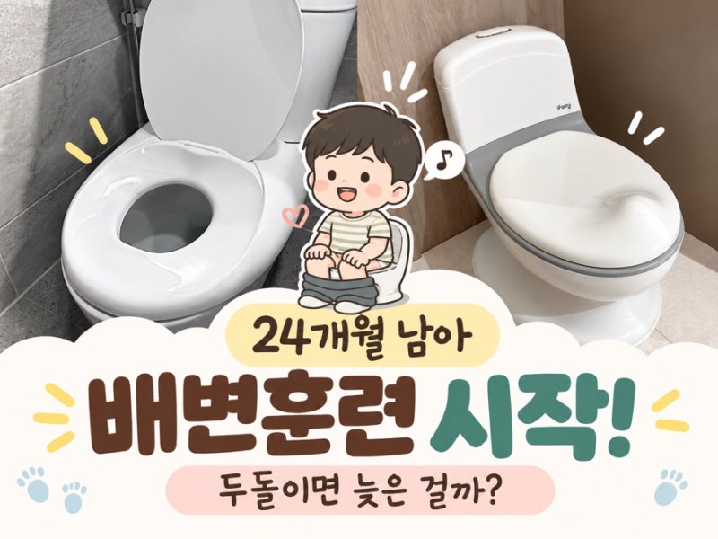 24개월 아기 배변훈련 언제부터? 두돌 남아 기저귀 떼는 시기와 방법 단계별 가이드