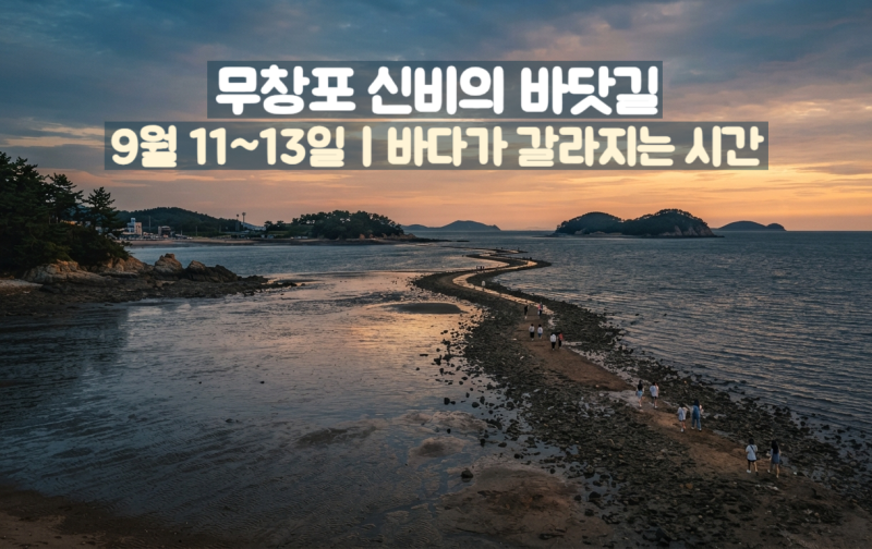 무창포 신비의 바닷길 여행｜9월 11~13일 바닷길 시간부터 축제까지