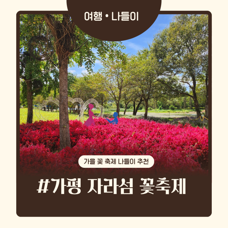 가평 자라섬 남도 꽃축제 & 아이와 가볼만한 곳 : 중도 주차꿀팁부터 선착장카페 자라나루까....