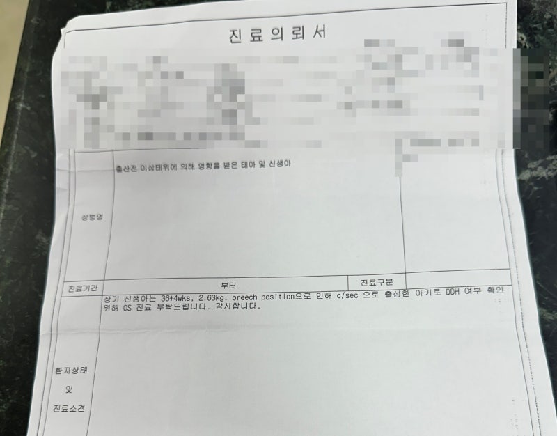 제왕절개 역아 대학병원 진료 필수? 고관절 초음파 시기 비용 실비 후기
