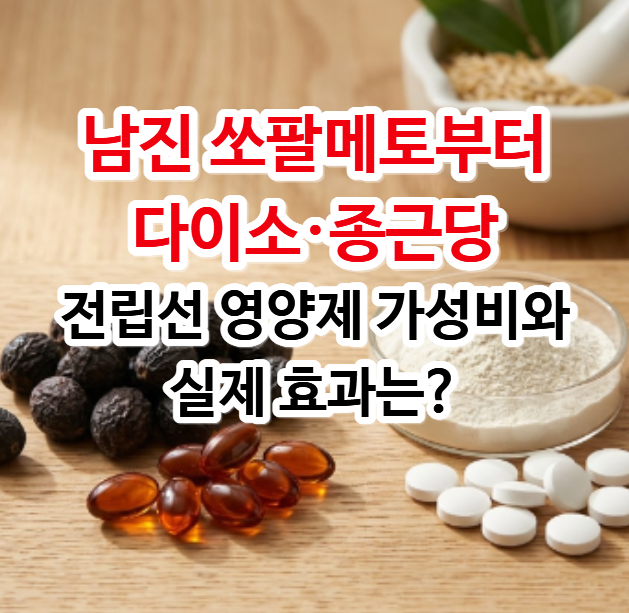 남진 쏘팔메토부터 다이소·종근당 전립선 영양제 가성비와 실제 효과는?