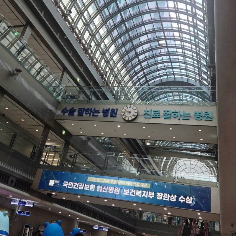 담석 증상은 등통증? 복강경 담낭절제수술 3개월 후기