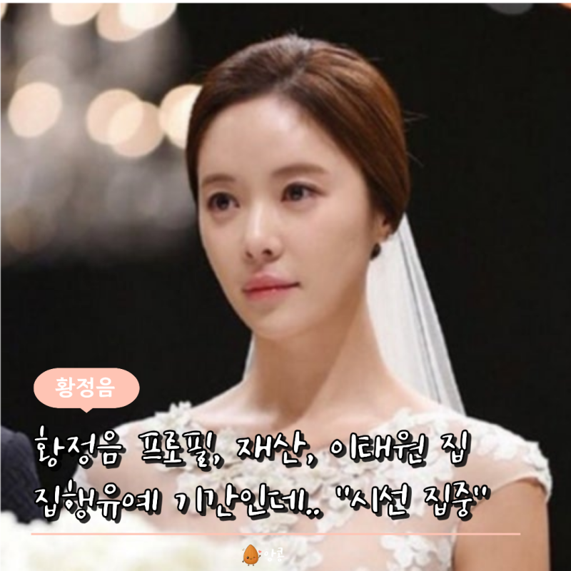 황정음 이태원 자택 논란에 다시 뜬 근황…프로필·나이·재산·작품·자녀·이혼·집행유예·....