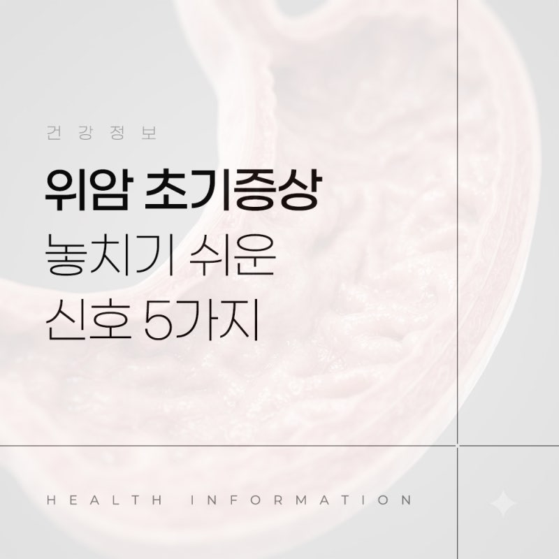위암 초기증상 단순 소화불량일까 초기에 놓치기 쉬운 신호 5가지