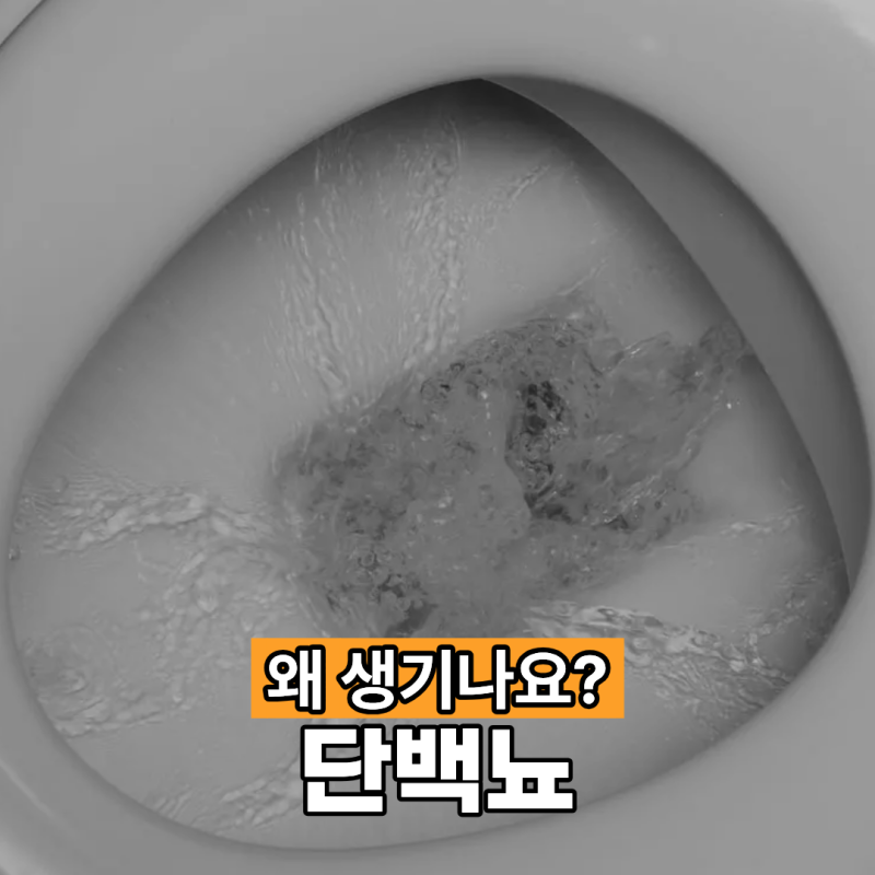 단백뇨 왜 생기나요?