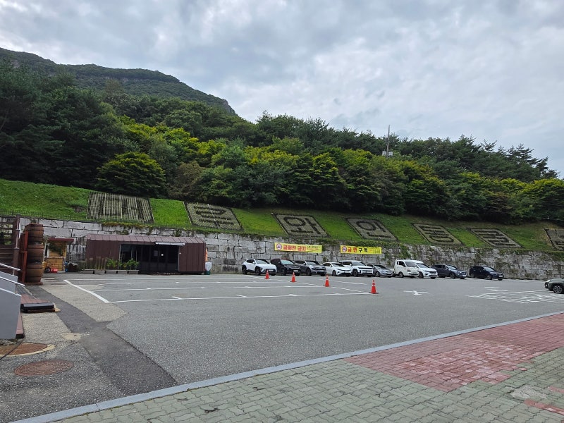 [무주 여행] 와인 시음부터 선물 구매까지, 머루와인동굴 200% 즐기기