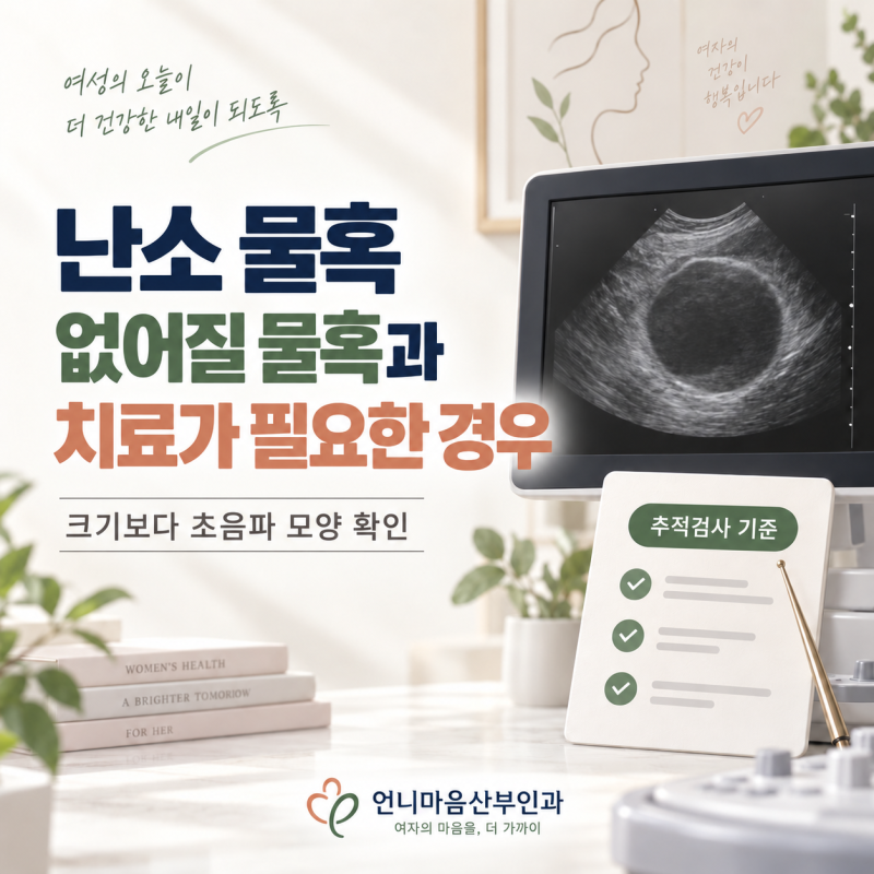초음파에서 난소 물혹이 보인대요, 없어질 물혹과 치료가 필요한 경우