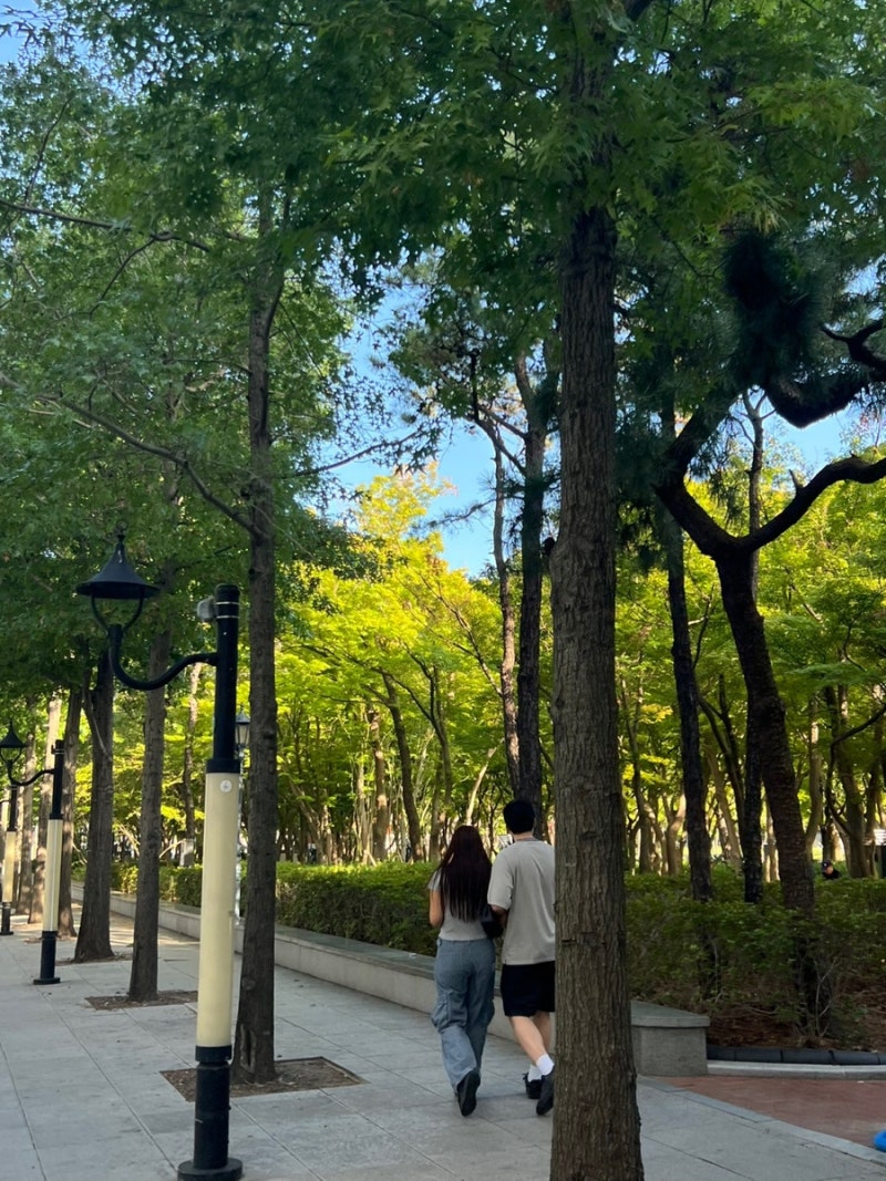 대구 1박2일 여행 1일차 / 왕거미식당 뭉티기+오드레기, 걸리버막창(포장, 매장), 젤라또 맛집 ....