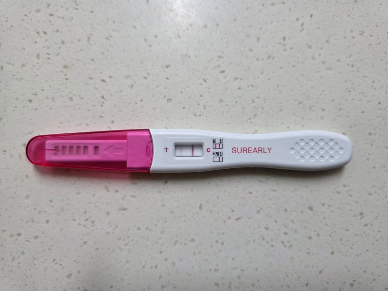 시험관 5일 배아 이식 후 증상 (당일~7일차) : 생리통 오한 임테기 확인