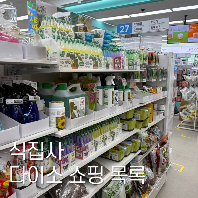 식집사라면 ‘이건’ 꼭 사오세요 다이소 원예코너 쇼핑 3가지
