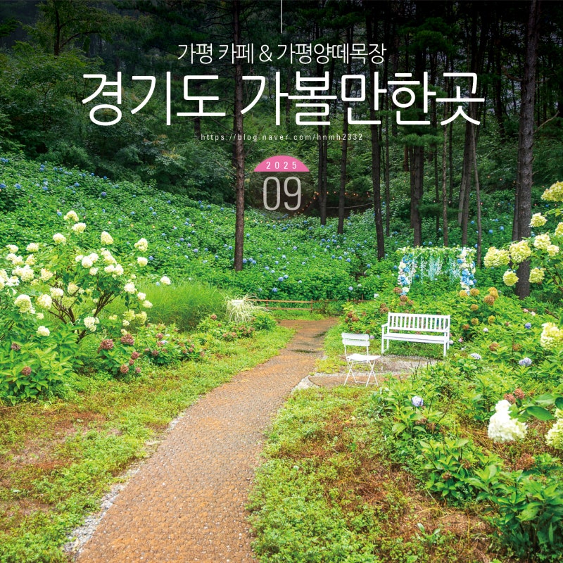 경기도 가볼만한곳 가평 카페 양떼목장
