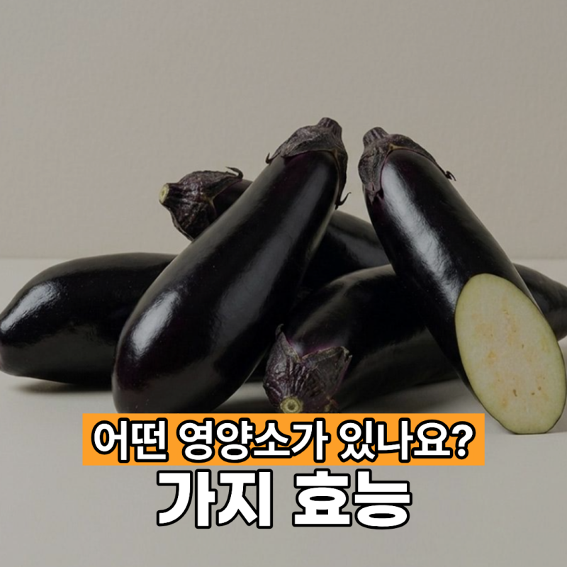 가지 효능 어떤 영양소가 있나요?