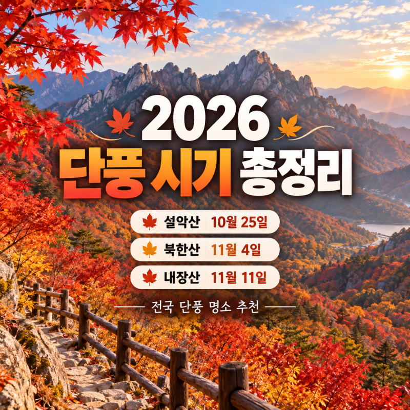 2026 단풍 시기 총정리｜설악산 10월 25일·북한산 11월 4일·내장산 11월 11일 절정 예상, 전국 단....
