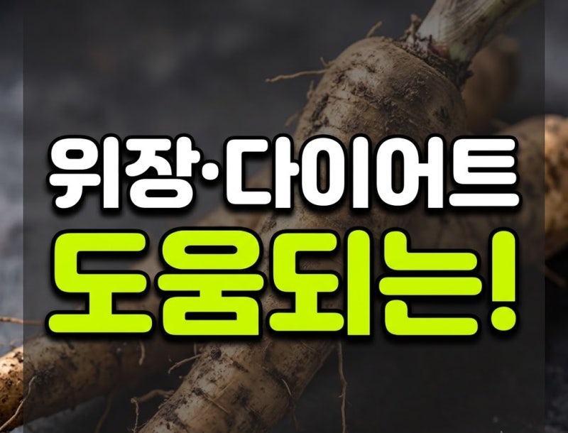 우엉 효능과 부작용, 우엉조림 만드는법과 손질법까지 한번에