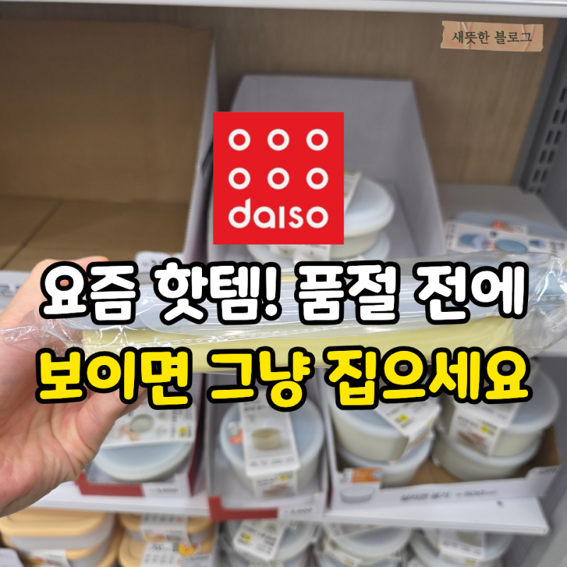 “보이면 일단 집으세요” 요즘 품절대란이라는 다이소 실리콘 용기 4가지
